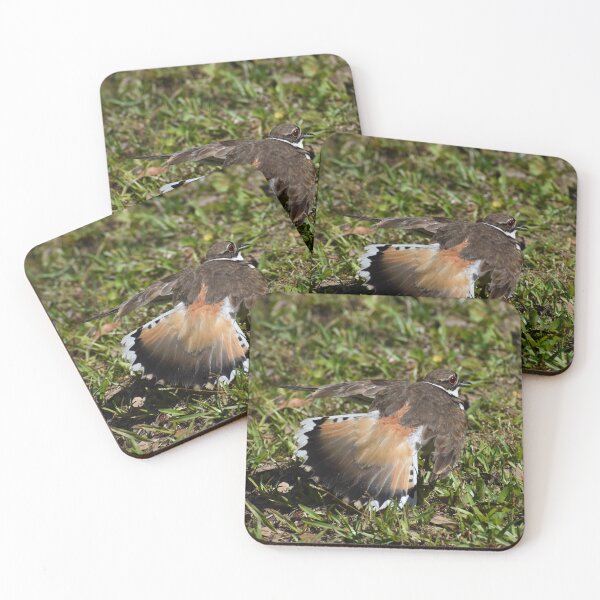 Item preview, Protective Killdeer designed and sold by Taiga Gigliotti.