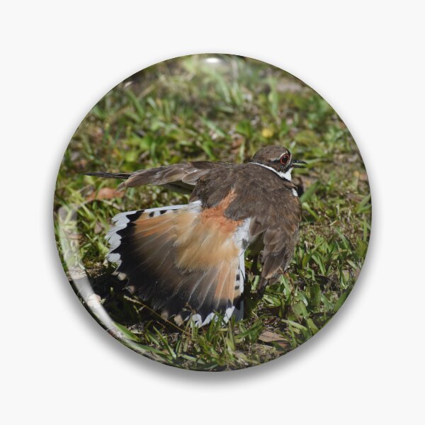 Item preview, Protective Killdeer designed and sold by Taiga Gigliotti.