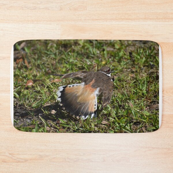 Item preview, Protective Killdeer designed and sold by Taiga Gigliotti.