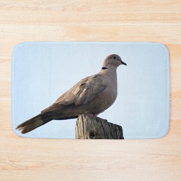 Item preview, Collared dove designed and sold by VincenzoIzzo.