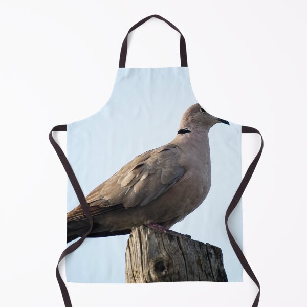 Item preview, Collared dove designed and sold by VincenzoIzzo.