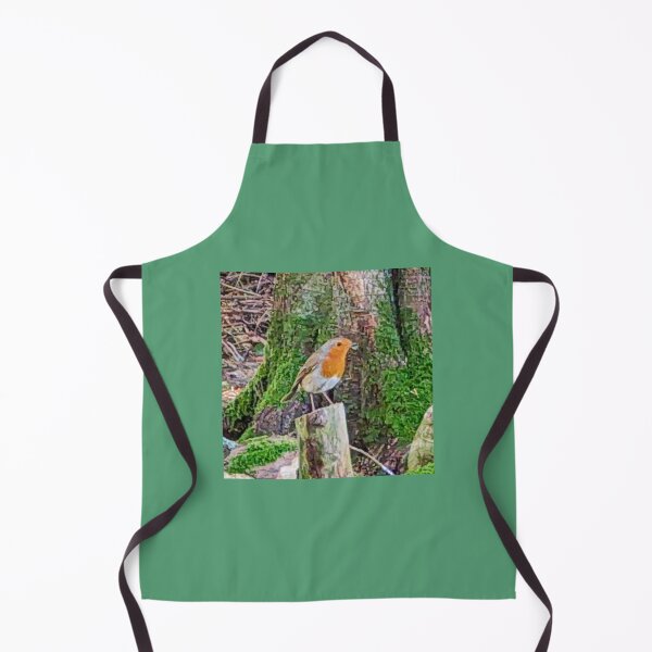 Item preview, Robin, Robin red breast, designed and sold by VerseforWear.