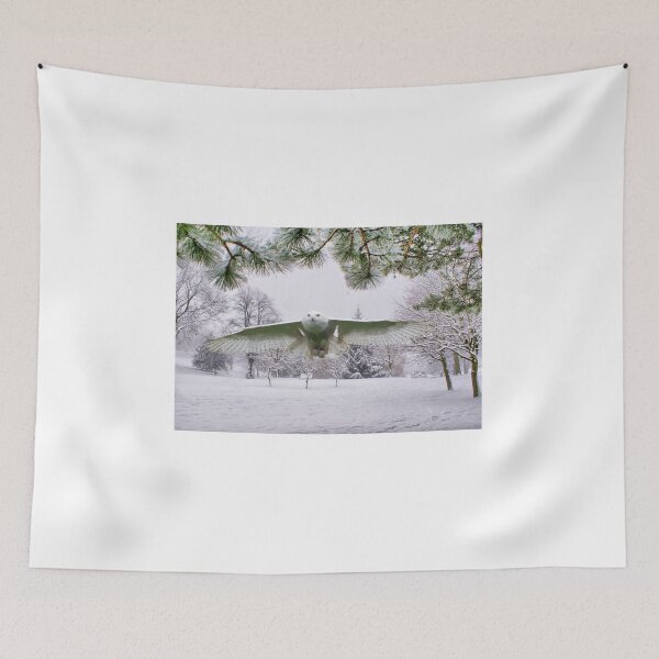 Item preview, Snowy Owl In A Winter Wonderland designed and sold by Sandra Cockayne.