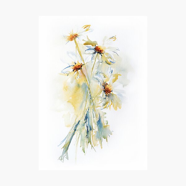 Daisy Bouquet Photographic Print