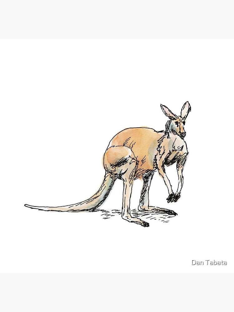 Thumbnail 4 of 4, Pillow, Kangaroo-in-waiting designed and sold by dmtab.