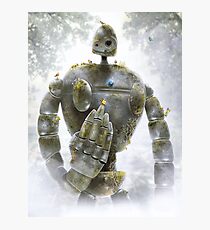The Forgotten Soldier Photographic Print
