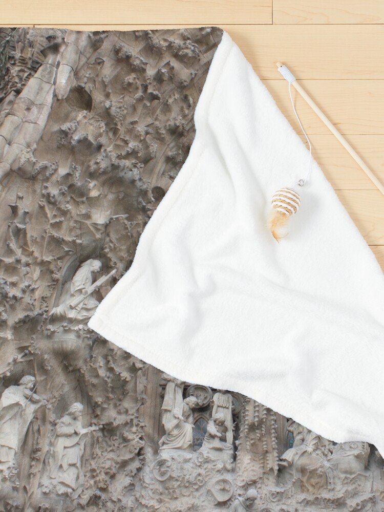 Alternate view of Facade de la nativite Pet Blanket