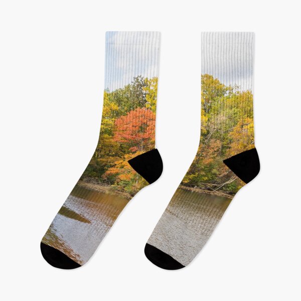 Item preview, Silver Breeze - Autumnal Lakeside at Grenadier Pond in High Park Toronto designed and sold by Georgia Mizuleva.