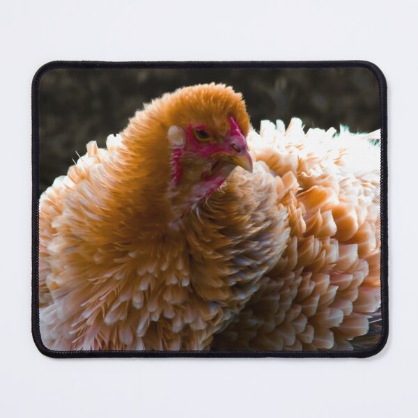 Item preview, chicken designed and sold by Francespoppy.