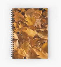 Golden Birch Leaves Spiral Notebook