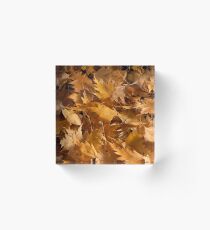 Golden Birch Leaves Acrylic Block