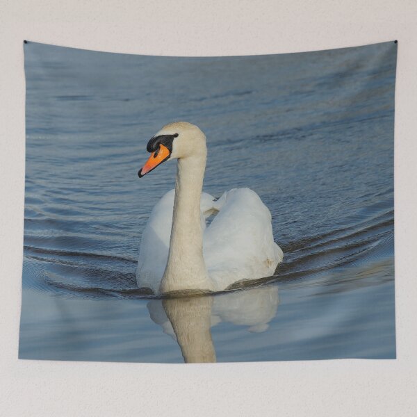 Item preview, Mute Swan Swimming in the Harbor designed and sold by walkswithnature.
