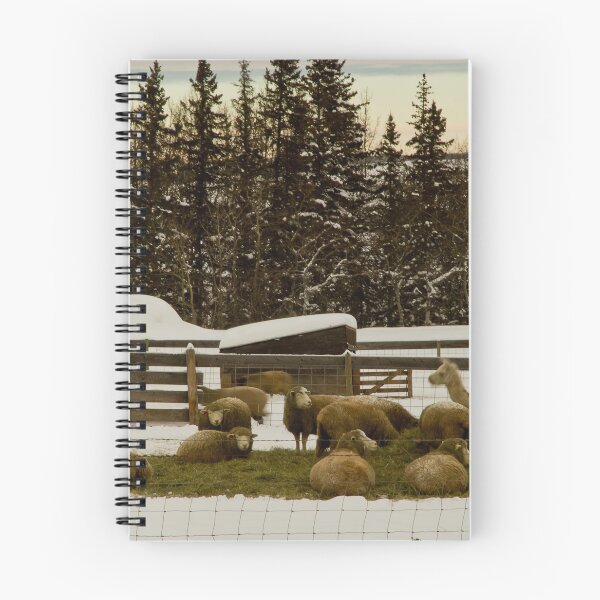 Item preview, Sheep Feeding  designed and sold by Sandra Foster.