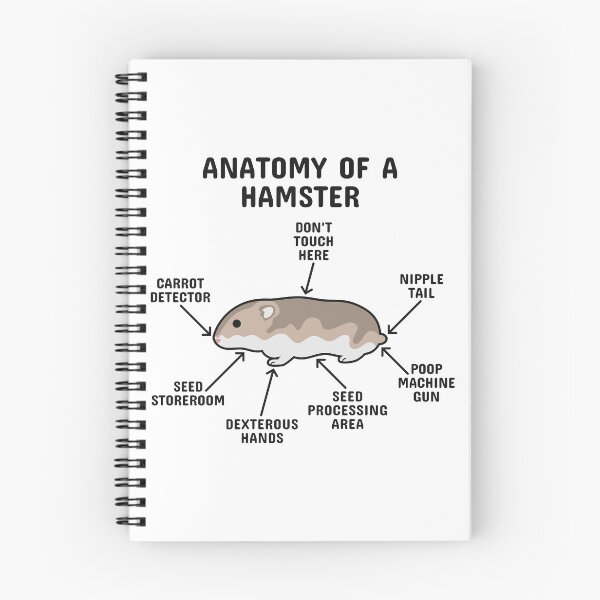 Item preview, Anatomy of a Hamster Brown designed and sold by blacklinesart.