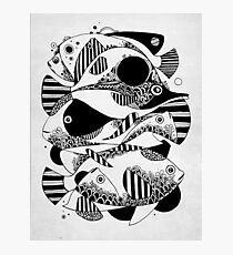 Glub Glub Photographic Print