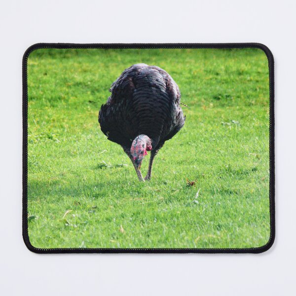 Item preview, turkey and green grass designed and sold by Francespoppy.