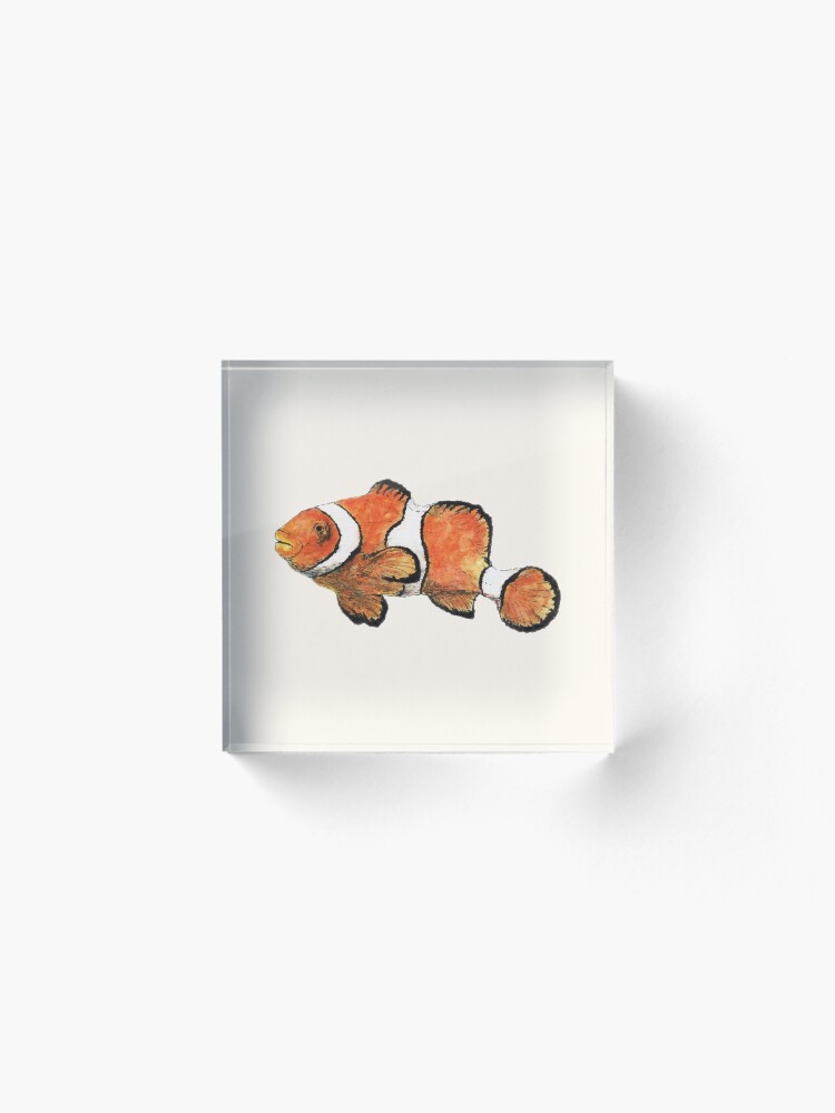 Alternate view of Clownfish Acrylic Block