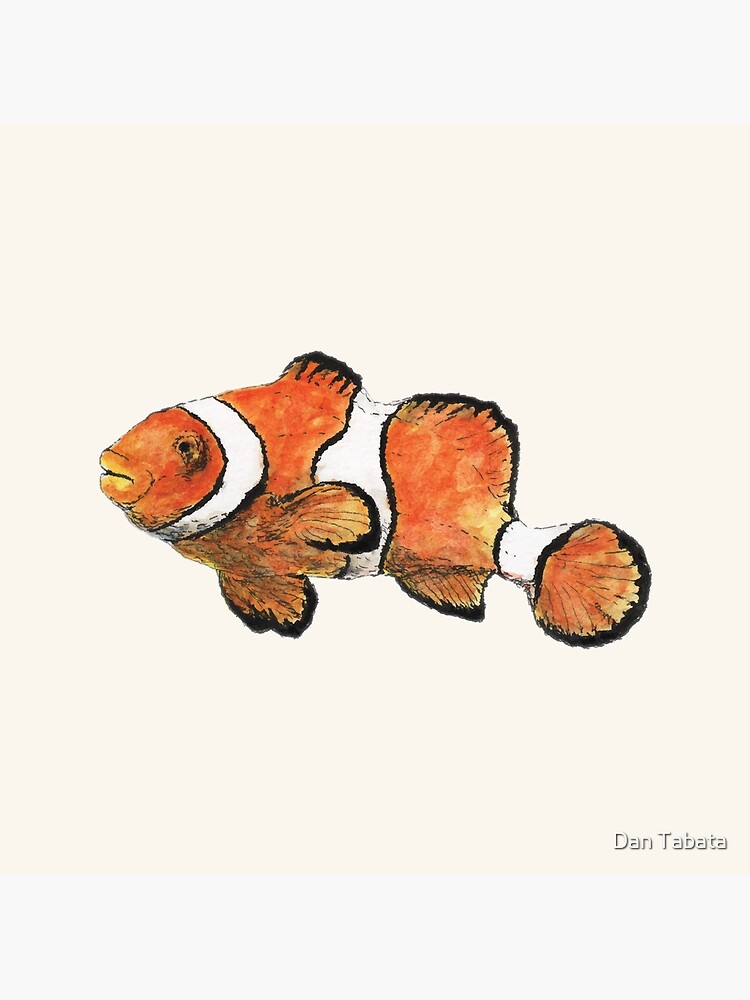 Clownfish by dmtab