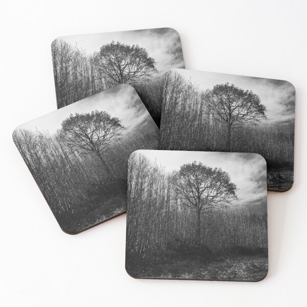 Item preview, Spooky Woodland designed and sold by ShutterSmithArt.