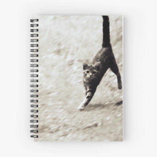 Item preview, tabby cat designed and sold by Francespoppy.