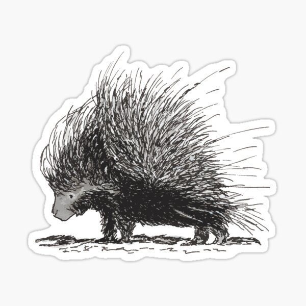 Porcupine Sticker