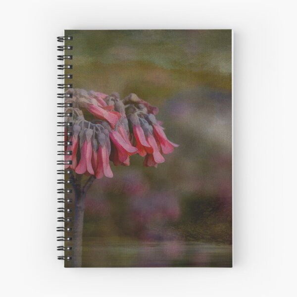 Item preview, Kalanchoe Delagoensis Wildflower in Florida designed and sold by nbrandsberg.