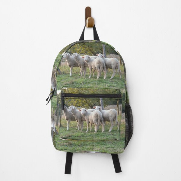Item preview, Four sheep designed and sold by Parafull.