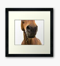 Nose Gerahmtes Wandbild