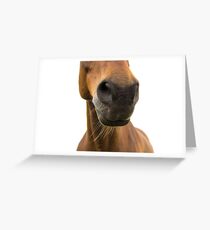 Nose Grußkarte