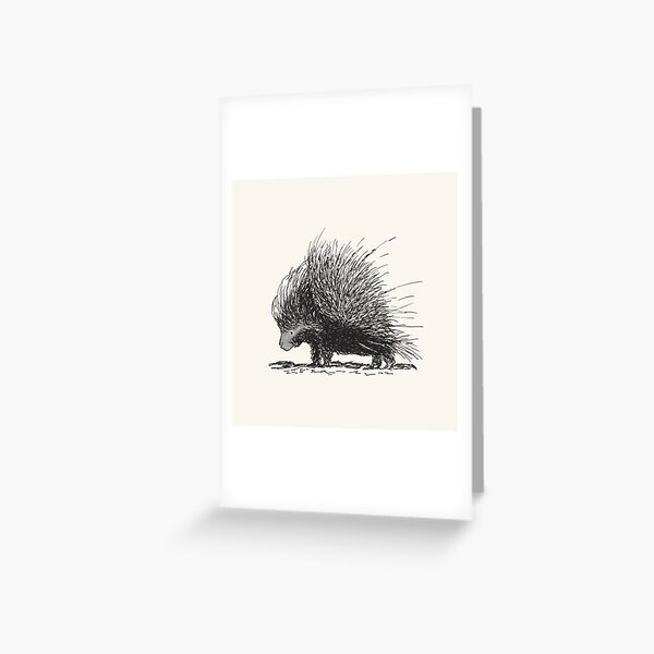 Porcupine Greeting Card