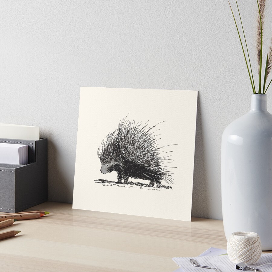 Porcupine Art Board Print