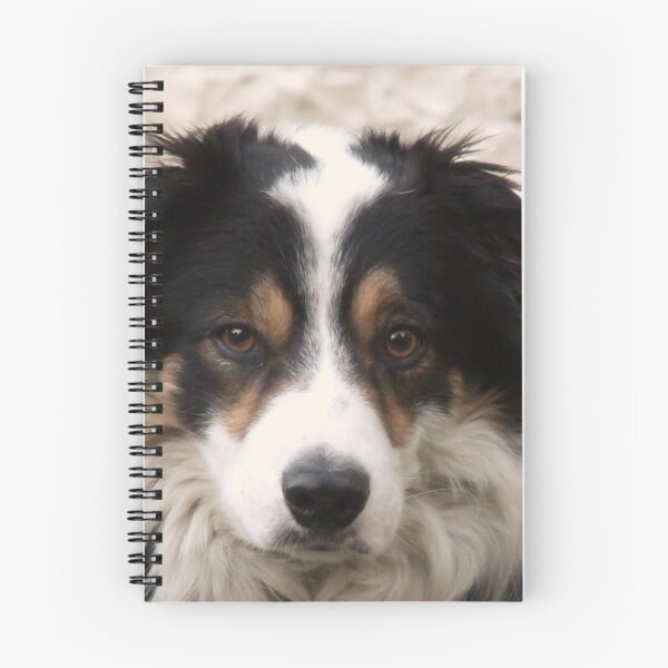 Item preview, Simply Laddie. designed and sold by Michael Haslam.