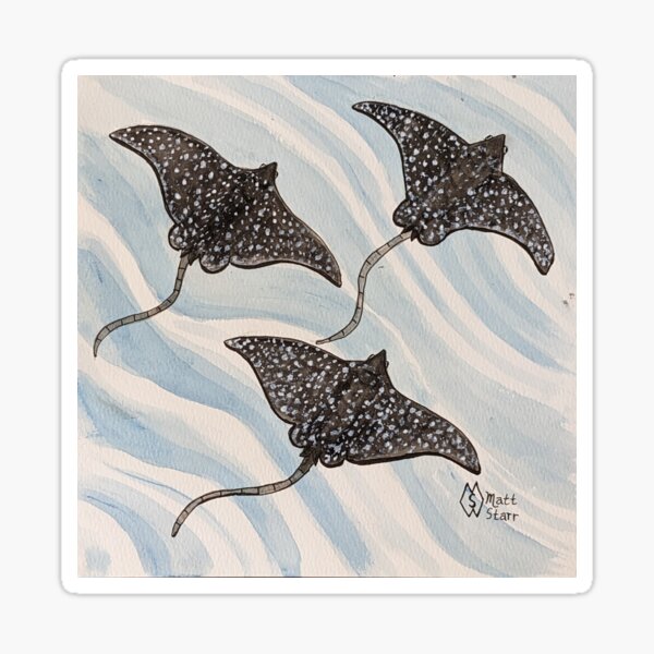 Item preview, Spotted Eagle Rays designed and sold by Matt Starr.