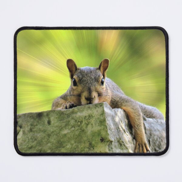 Item preview, Relaxed Squirrel designed and sold by Frankie Cat Photography.