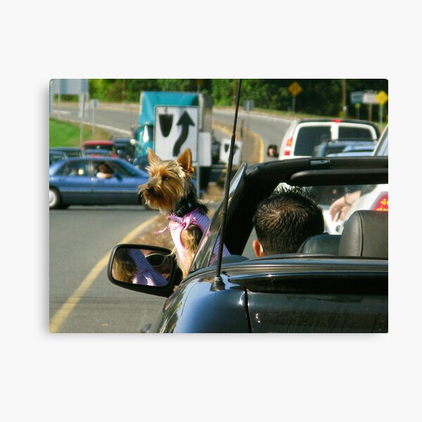 Must Be California Canvas Print