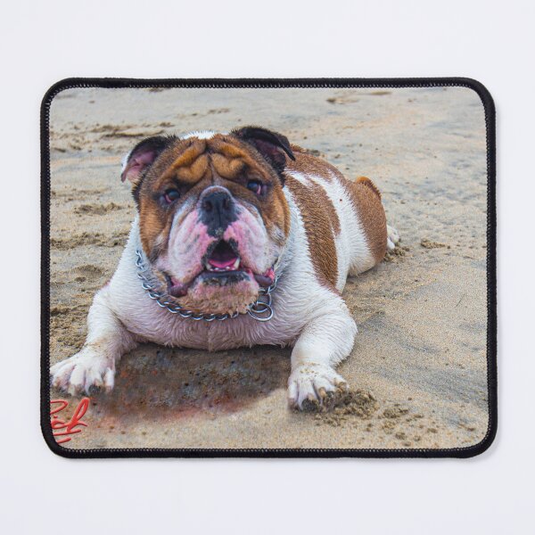 Item preview, Beach Bulldog Image by Rich AMen Gill designed and sold by RichAMeNGill.