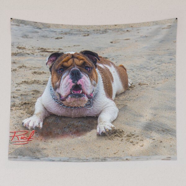 Item preview, Beach Bulldog Image by Rich AMen Gill designed and sold by RichAMeNGill.