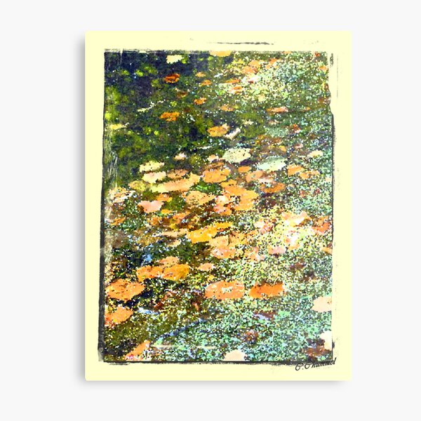 Autumn Reflection Metal Print