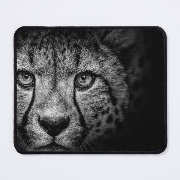 Item preview, Cheetah on black designed and sold by misskholeta.