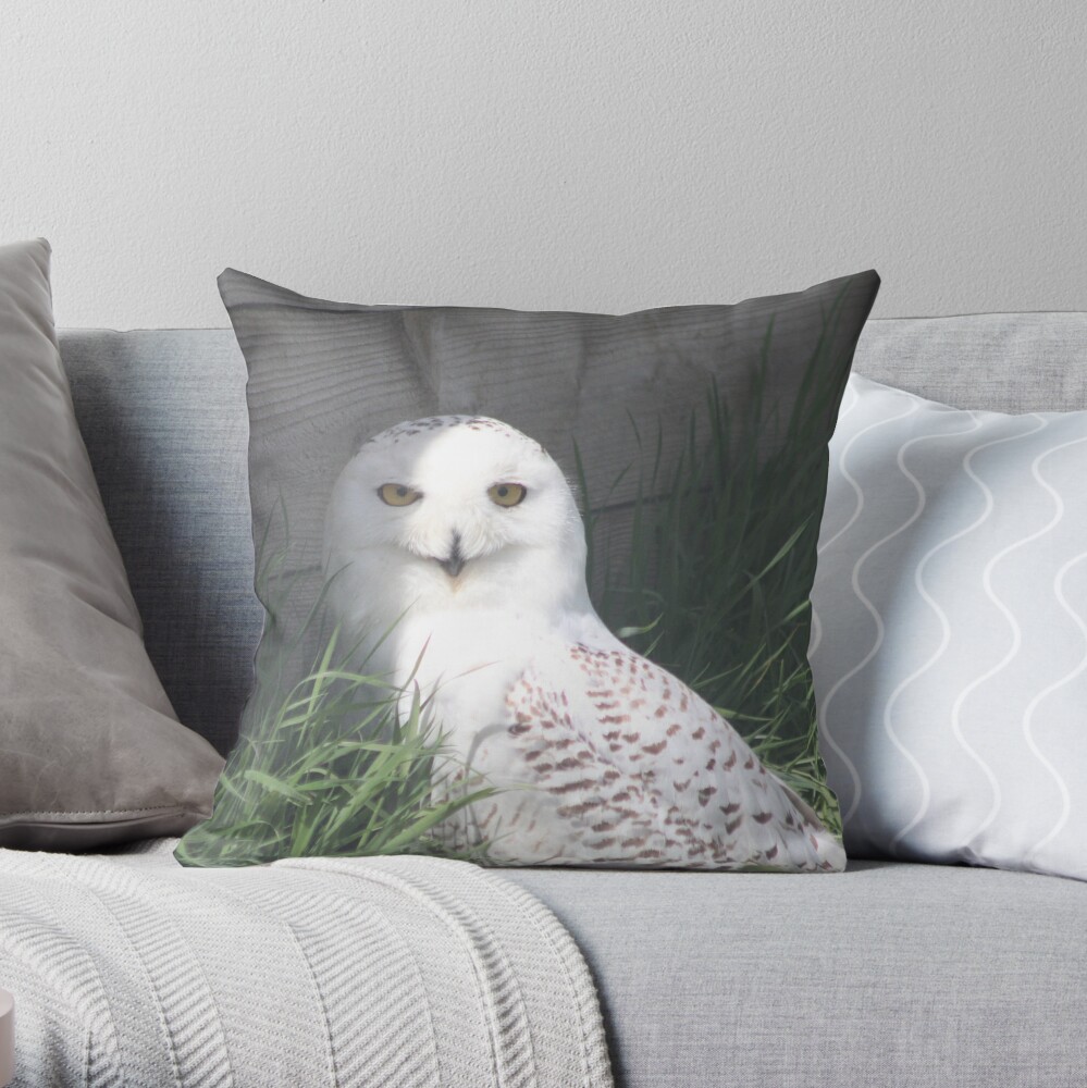 hedwig plush pillow