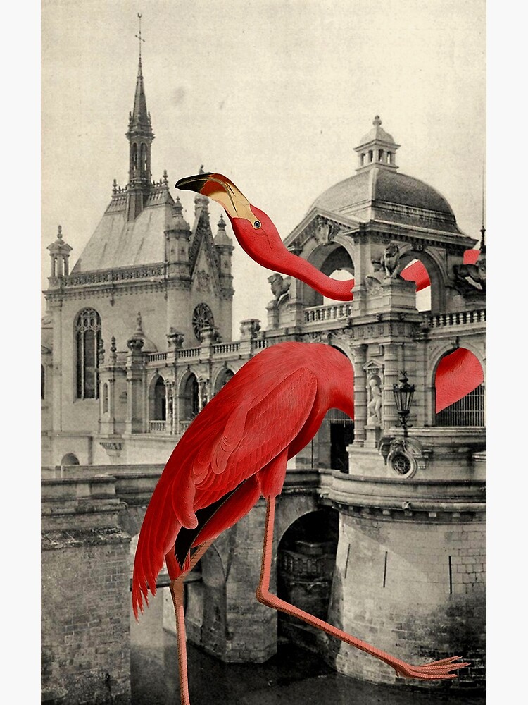 NUMBER 17 (FLAMINGO) by julialillard