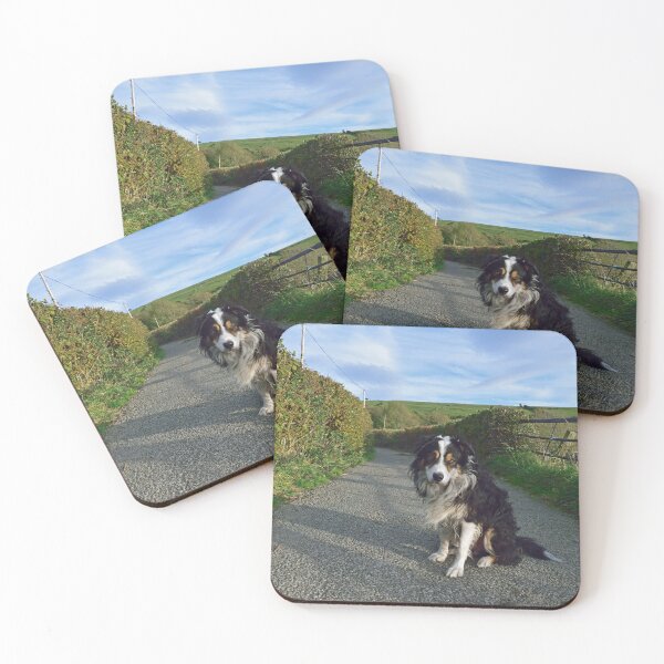 Item preview, Laddie Awaits. designed and sold by Michael Haslam.