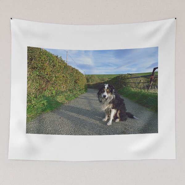 Item preview, Laddie espera. designed and sold by Michael Haslam.
