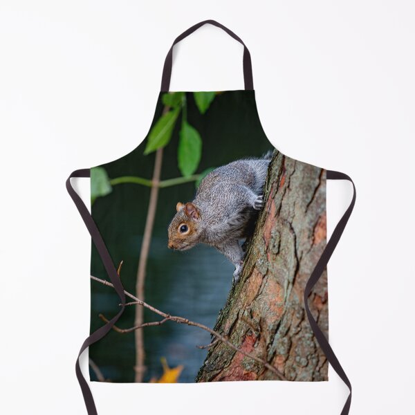 Item preview, Squirrel posters art prints t-shirts phone cases mugs etc designed and sold by craigewmcg123.