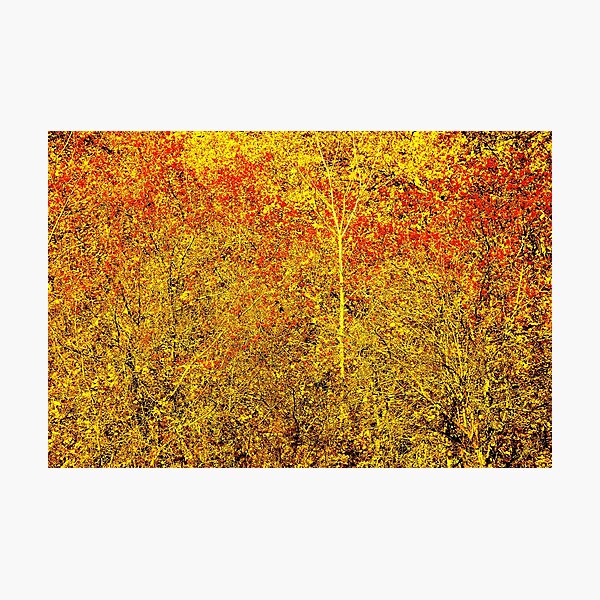 Item preview, Stylized Golden and Red Shining Fall Foliage  designed and sold by Mallorn.