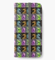 Four Seasons Dragons iPhone Wallet/Case/Skin