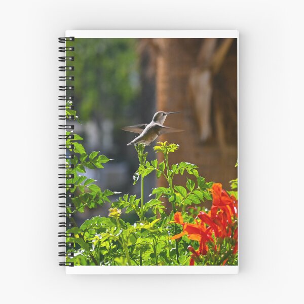 Item preview, Hummingbird In Flight designed and sold by Imagery.