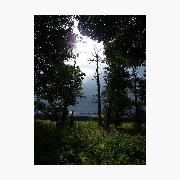 Item preview, Shine a Light designed and sold by pat oubridge.