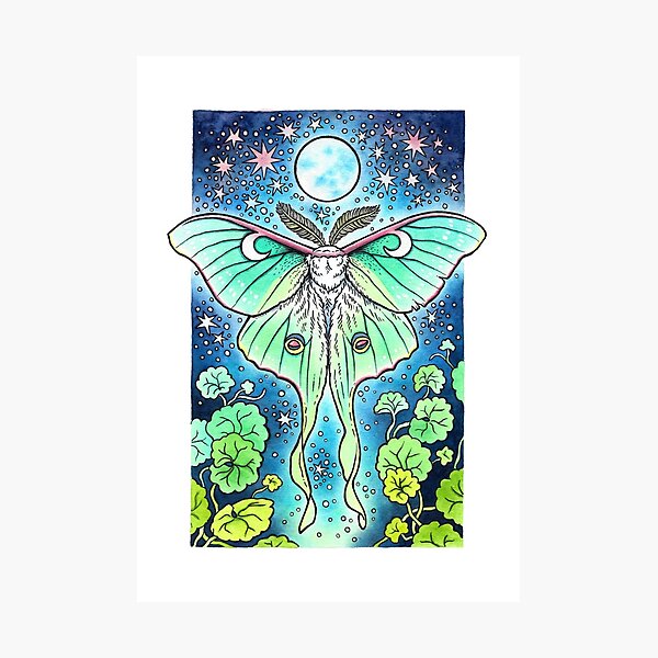 Moth of the Blue Moon | Luna Moth Art Photographic Print