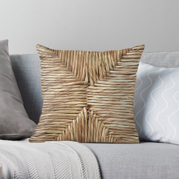 https://ih1.redbubble.net/image.4445046420.7579/throwpillow,small,600x-bg,f8f8f8-c,0,120,600,600.jpg